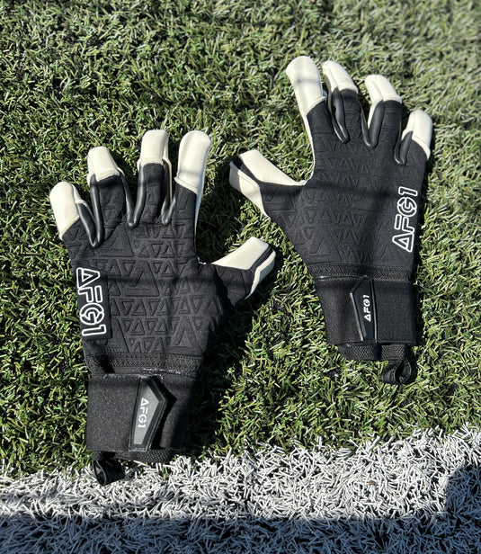 AFG1 Hybrid Future V.2