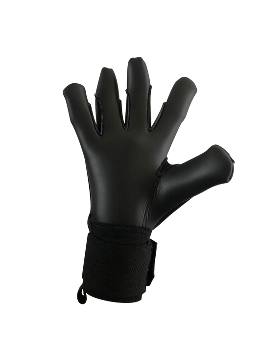 AFG1 Hybrid Evolve V.2